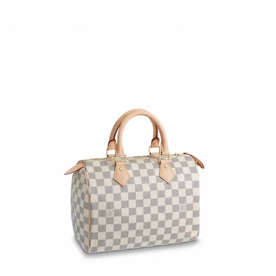 Cheap LF Vuitton 25 N41371 Speedy Louis 0228