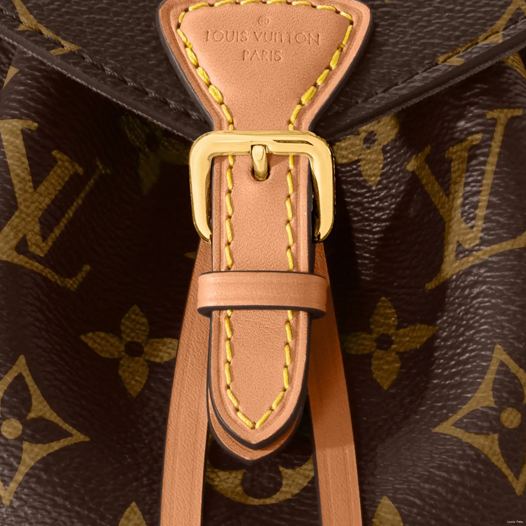 Cheap LF Vuitton M45502 Montsouris Louis BB 0219