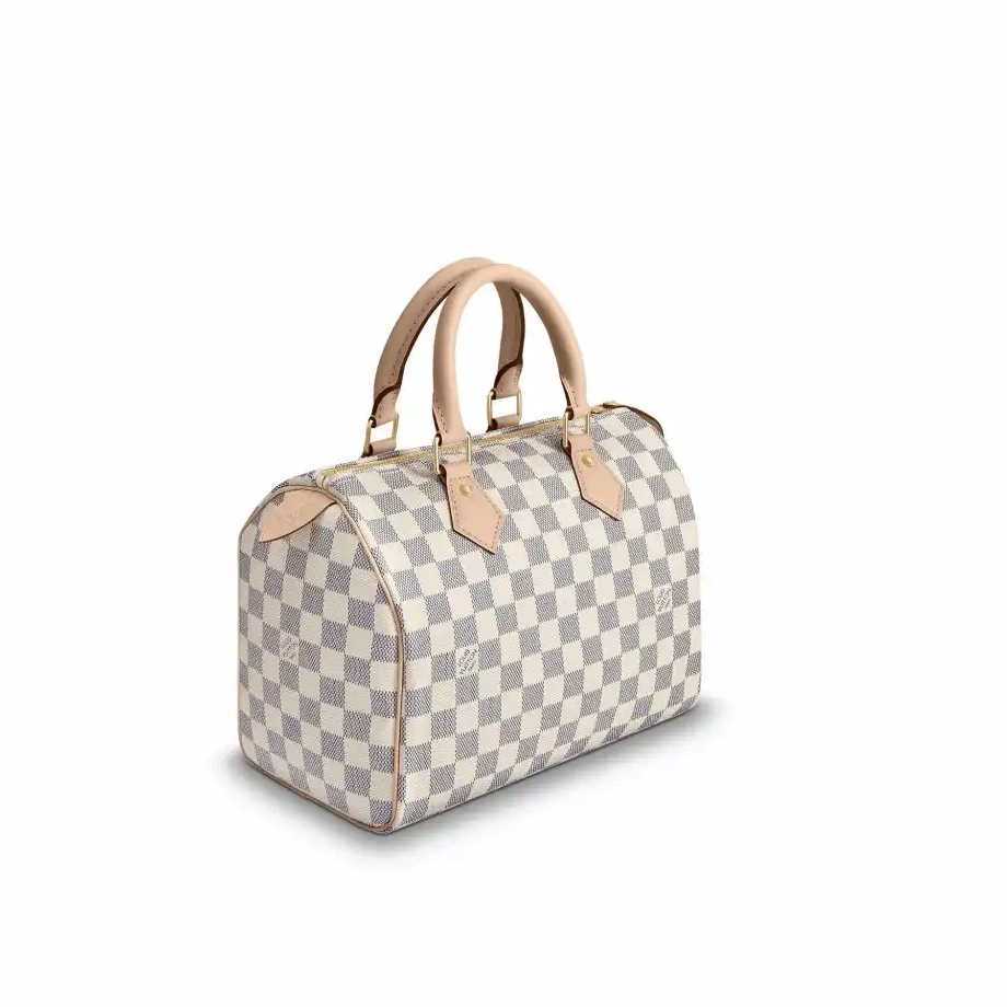 Cheap LF Vuitton 25 N41371 Speedy Louis 0228