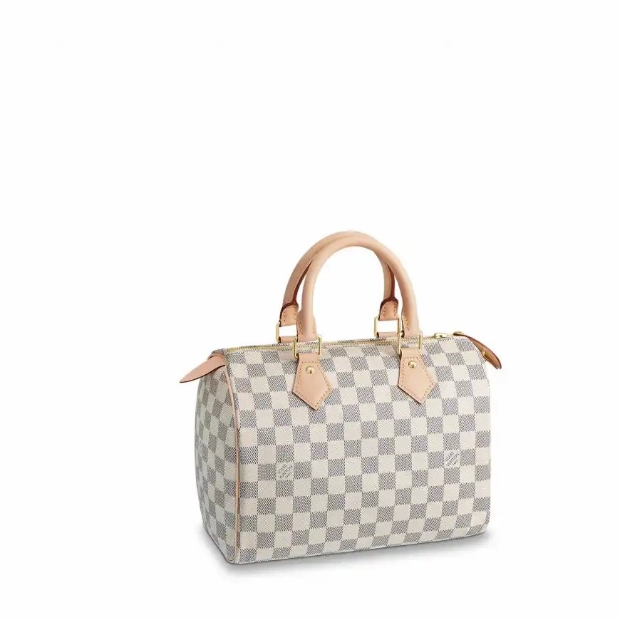 Cheap LF Vuitton 25 N41371 Speedy Louis 0228