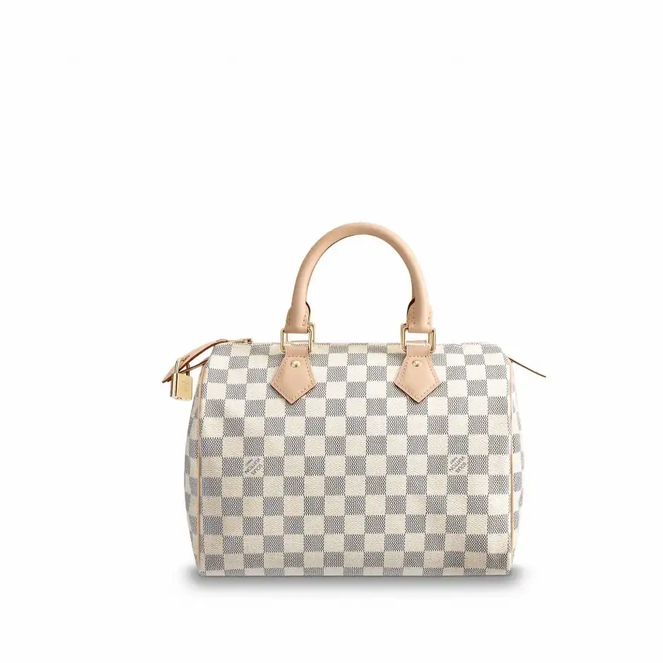 Cheap LF Vuitton 25 N41371 Speedy Louis 0228